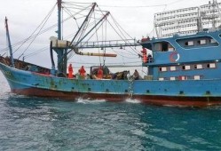 爆料渔船视频播放大全最新,海上捕捞瞬间大盘点